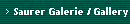 Saurer Galerie / Gallery